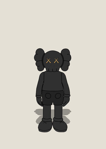 Kaws #K551